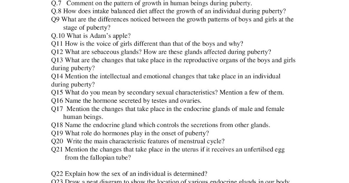 apsg CLASS 8 REVISION WORKSHEETS
