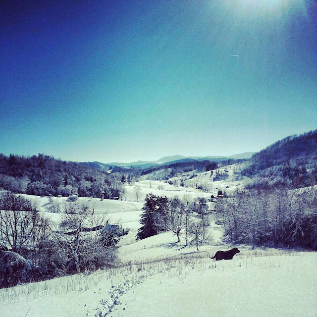 A break from politics Snow in Grayson County, Virginia Bearing Drift