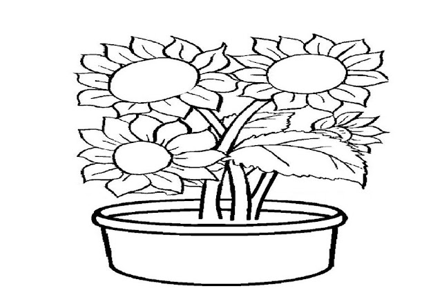 mewarnai bunga matahari