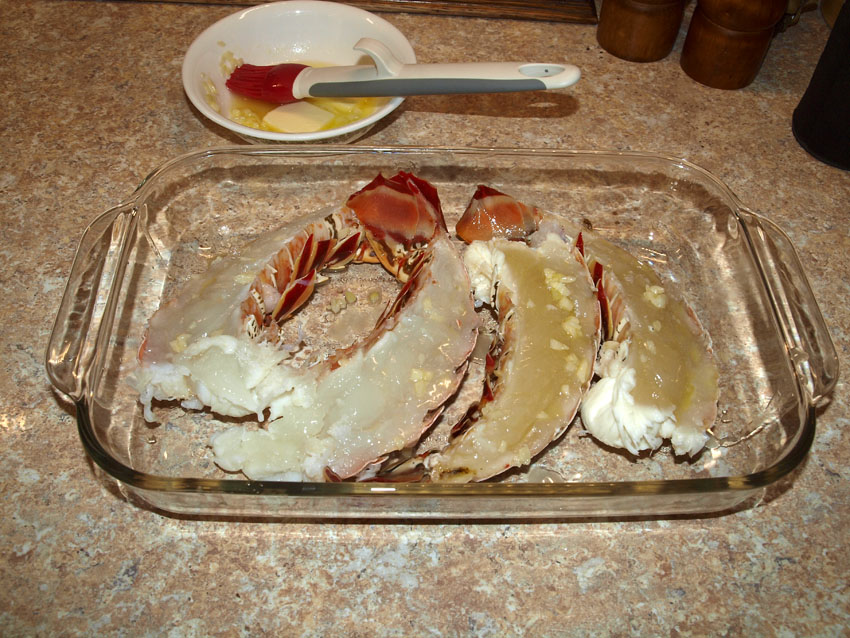 Pellet Smoker Cooking Grilled Ribeyes & Lobster Tails, dog had rabbit!