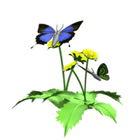 Membuat animasi kupu kupu bergerak di blog