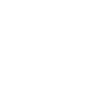 INTRO