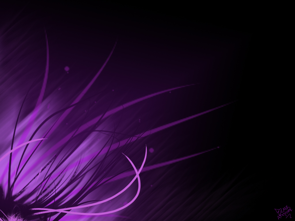 New Collections Purple Wallpapers HD | New Best Wallpapers 2016