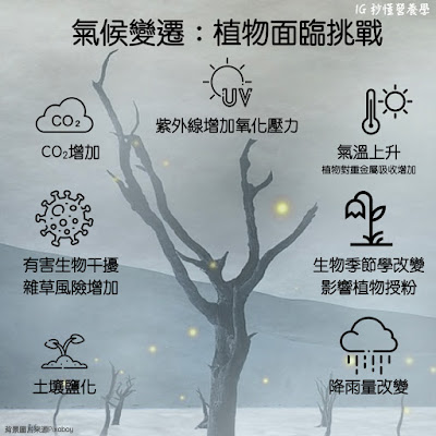 【秒懂營養學】氣候變遷與永續飲食 【秒懂營養學】氣候變遷與永續飲食