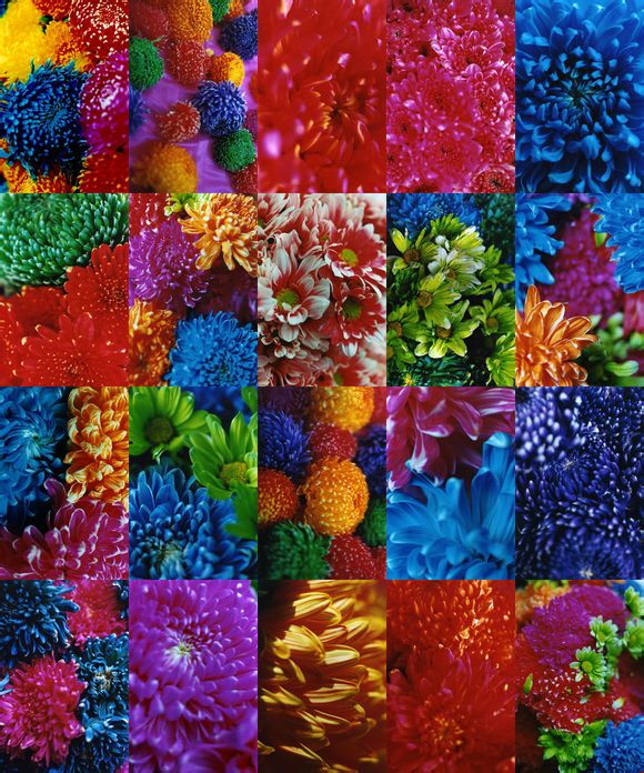 Art Gallery Review Mika Ninagawa