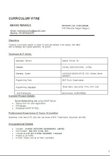resume format pdf 2 pages