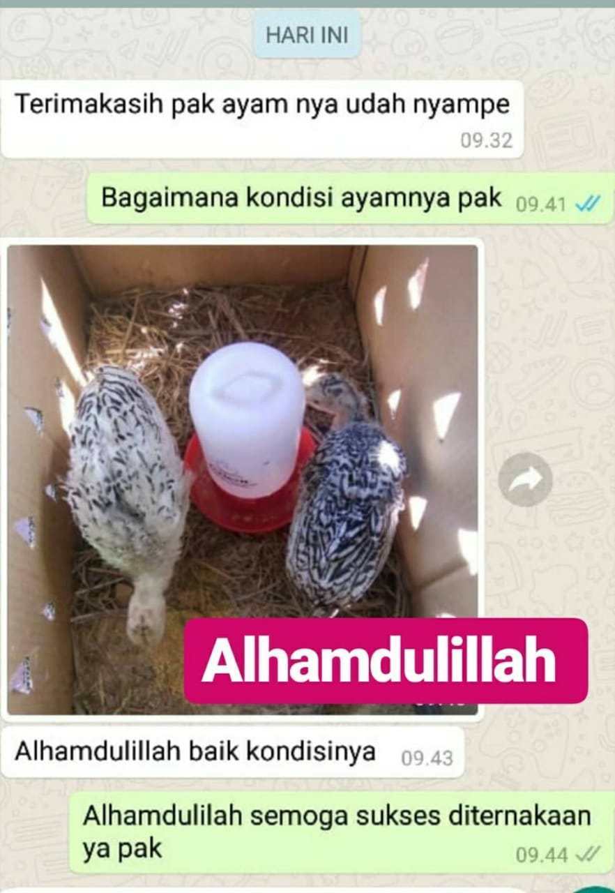 Blogspot Landing Page Builder