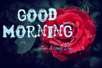 Good Morning Images Good Morning Images