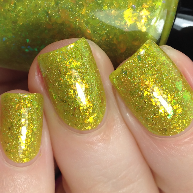 KBShimmer-Something To Taco ‘Bout