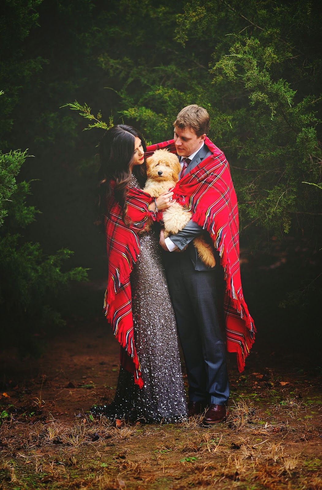 christmas family pictures with animals lolly baby girl christmas bows