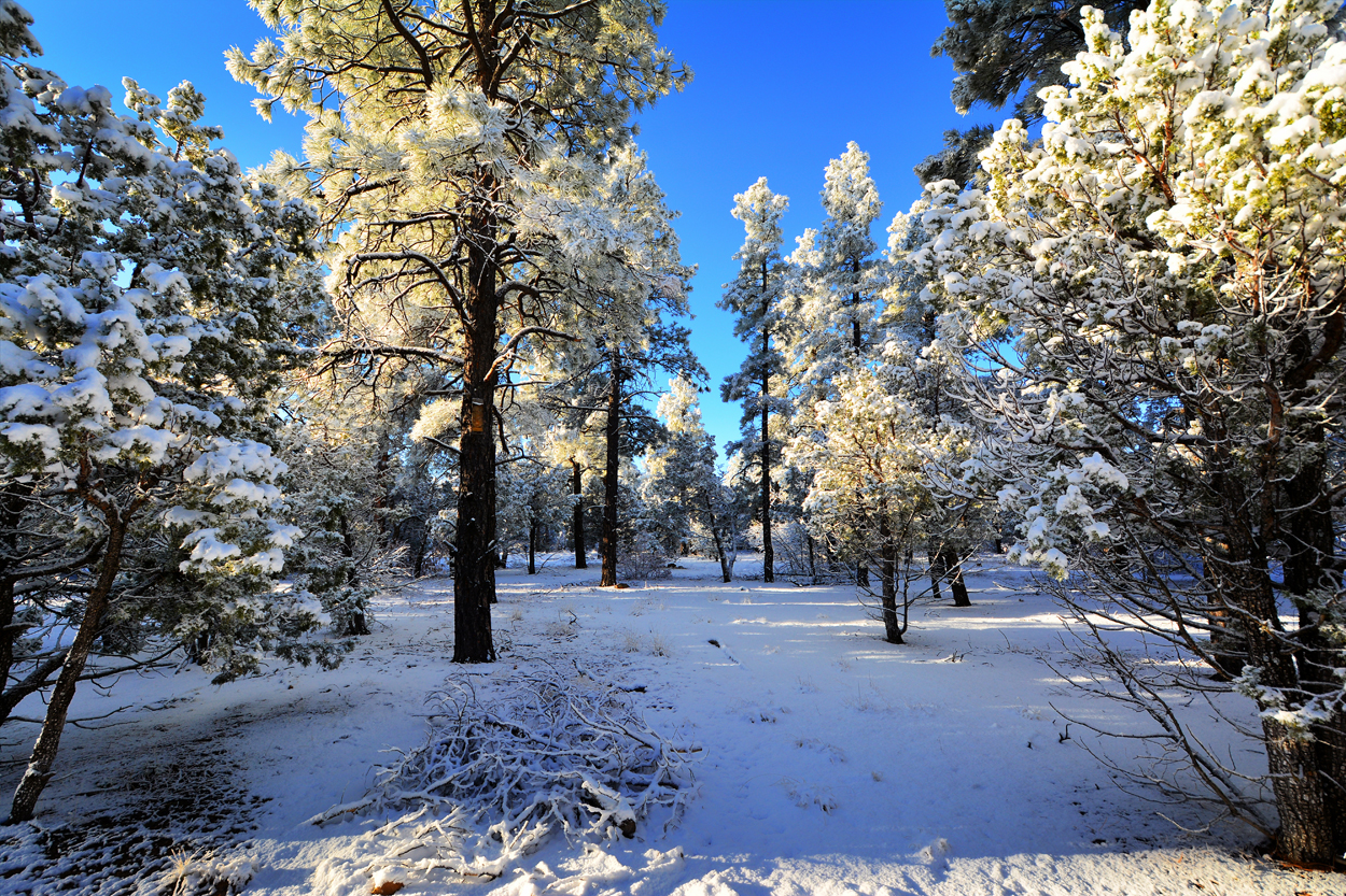 Ramblings from the Road Manzano Mountains
