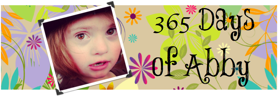 365 Days of Abby