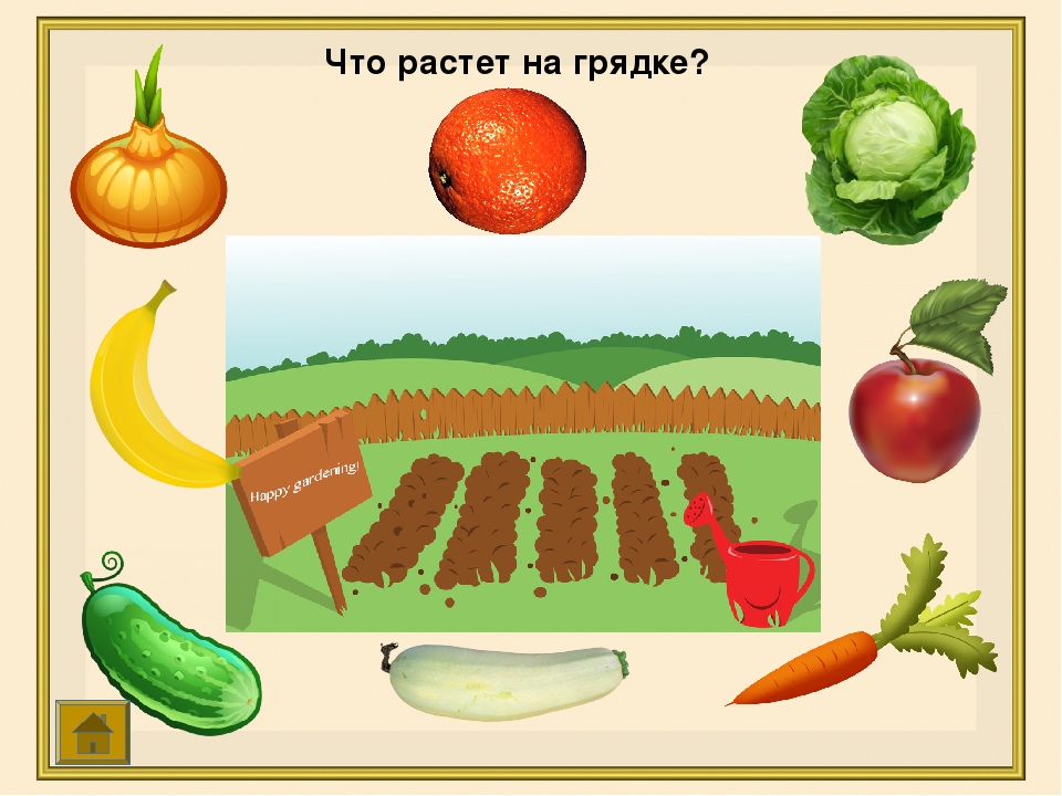 рисование овощи на грядке. игра что растет на грядке. что где растет в огороде. где растут овощи. где растут овощи.