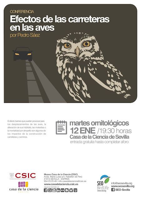 Conferencia: "Efectos de las carreteras en las aves". Por Pedro Sáez, 12 de Enero de  2016.