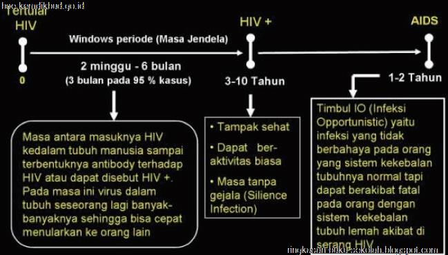 BAB X MENGANALISIS BAHAYA, PENULARAN DAN PENCEGAHAN PENYAKIT HIV/AIDS ...