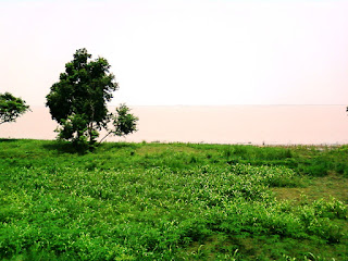 Flood Picture in Bihar