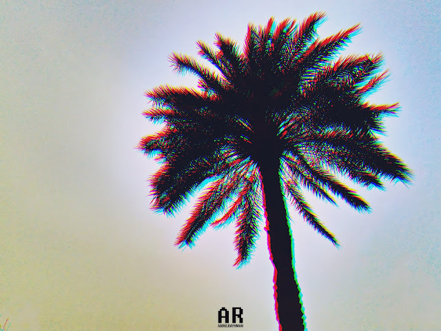 palm tree - cellophane effect