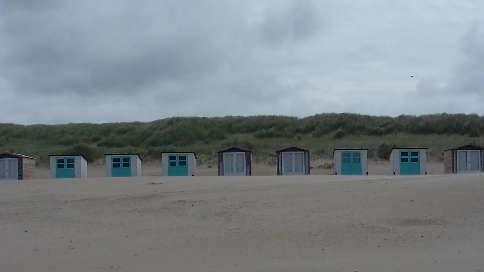 Zaanse Schans y Isla de Texel - 10 días acampando por Bélgica y Holanda (2)