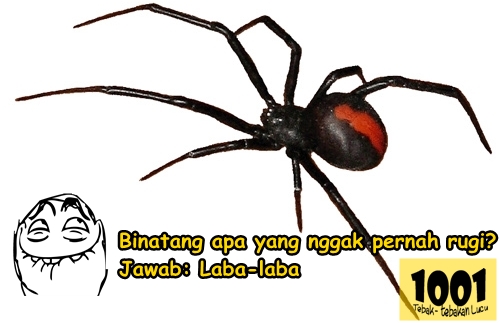 1001 Tebak Tebakan Lucu 101 150 Tebak Tebakan Lucu Pilihan