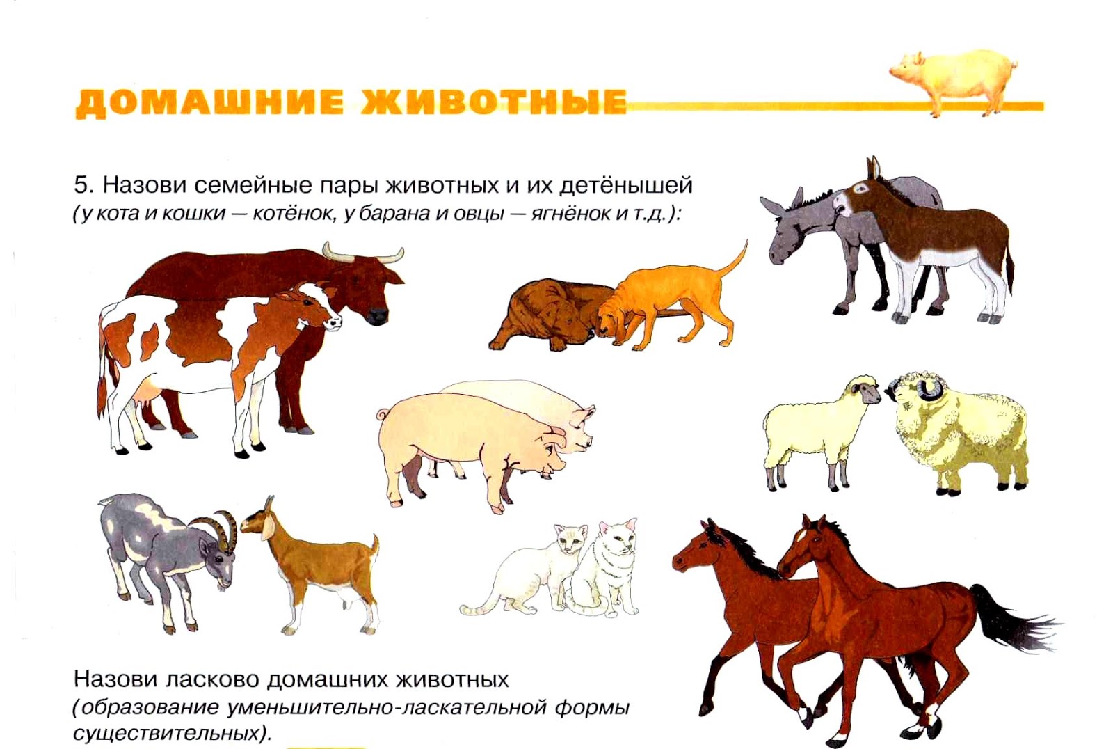 Тема занятия домашние животные