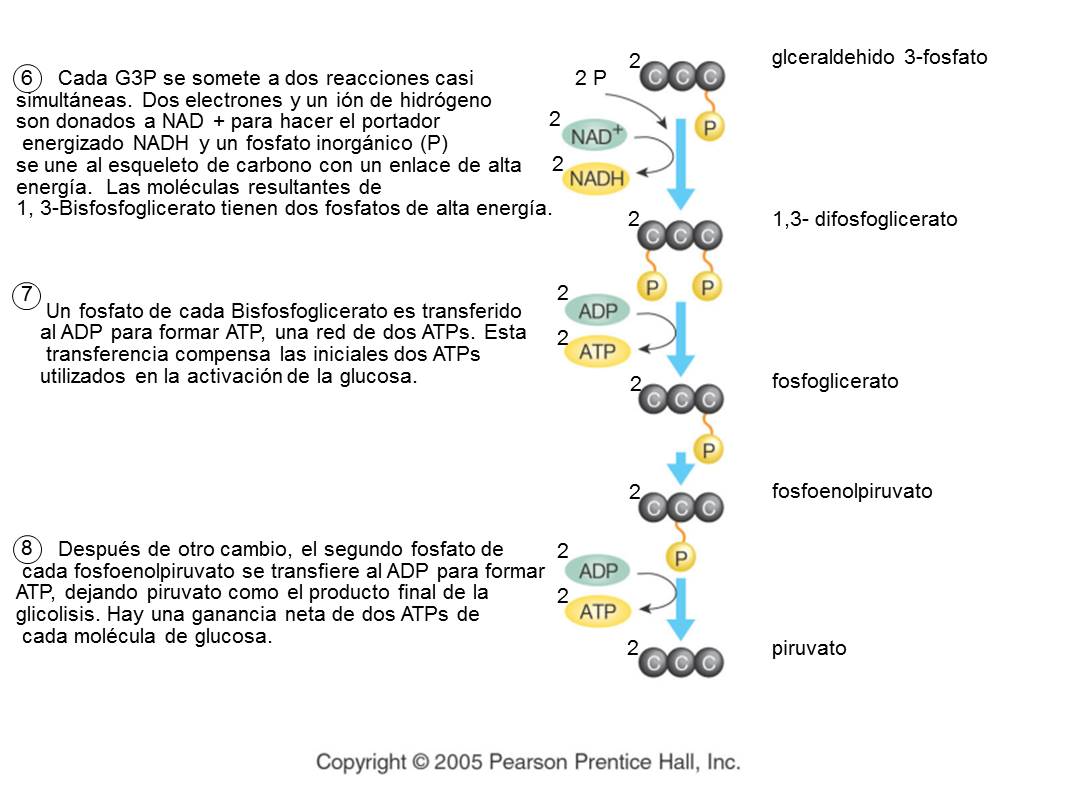9° CIENCIAS NATURALES COLEGIO DE LA