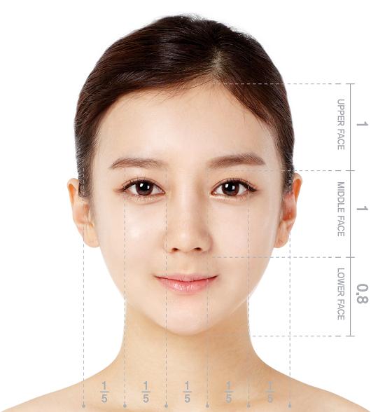 TL PLASTIC SURGERY CLINIC KOREA: Is double jaw surgery the only ...