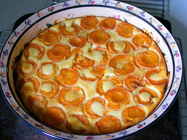 Apricot clafoutis. Photo by Loire Valley Time Travel.