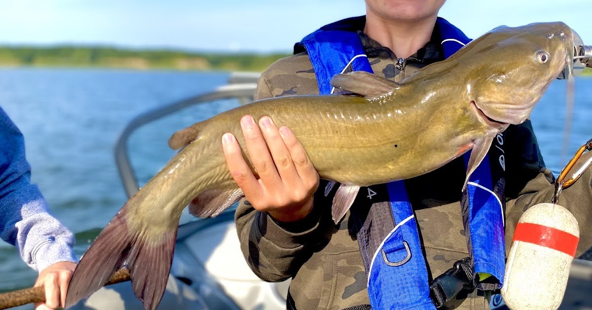 Chasin' Cats Iowa Catfishing Guide