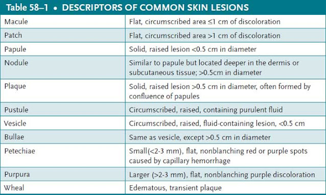 descriptors of common skin lesions