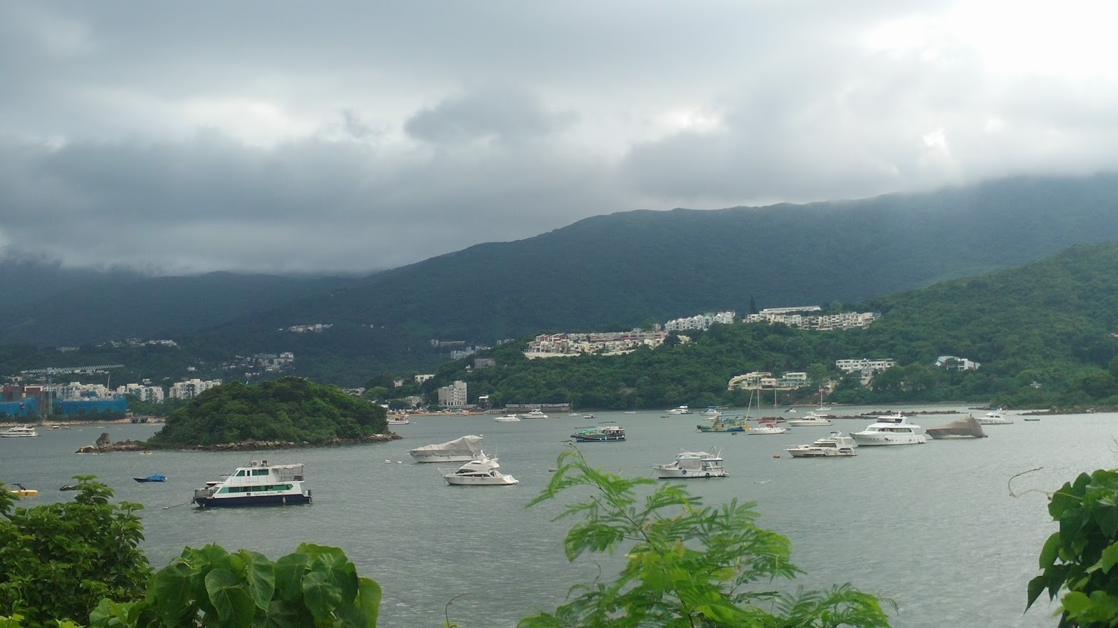 黑老闆說︱香港塔門半日遊 黑老闆香港塔門半日遊_回程經過早禾坑村前的海灣,遊艇星羅棋布,太迷人了,如果能住在這裡的海濱小屋該有多幸福啊!