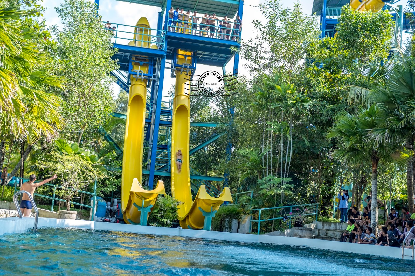 International High Dive Show launched at ESCAPE Water Theme Park Penang