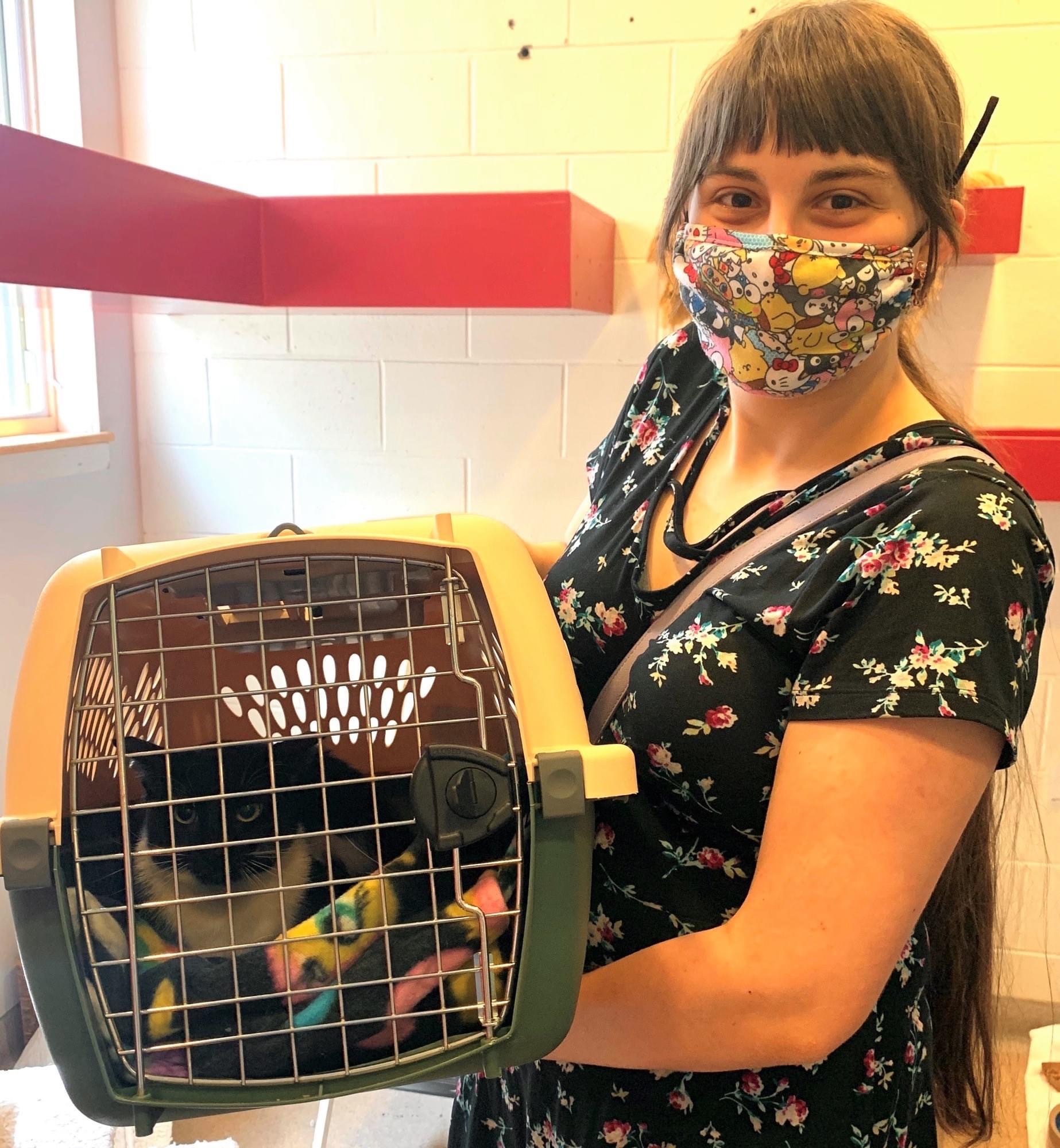 Good Karma Pet Rescue Cat Information Page June Transport Pictures