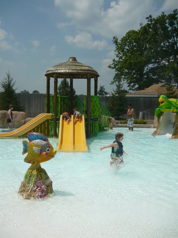 Days of the Davis' Zoombezi Bay