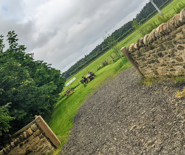 Broom House Farm Forest Adventure Review North East Family Fun