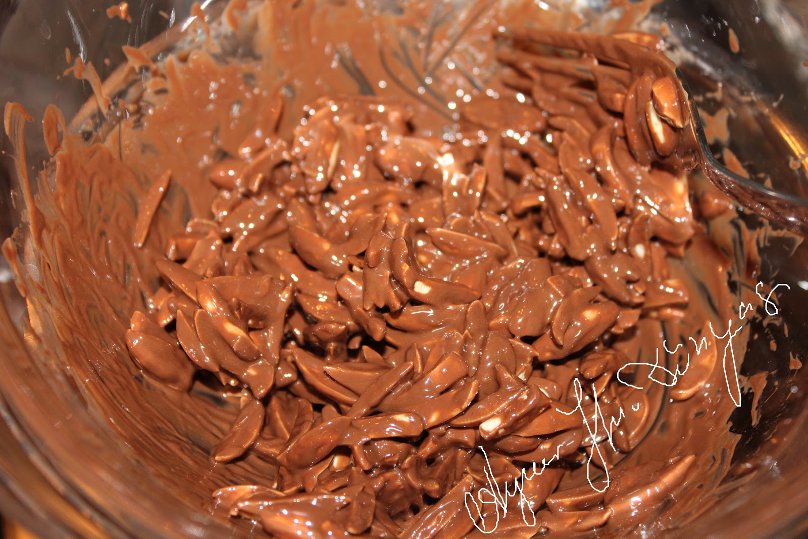 Aynur Hanımın Dünyası Bademli çikolata