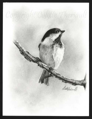 Black Capped Chickadee sketch/drawing in pencil by Wildlife Artist Colette Theriault