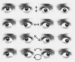 Imagen de ojos realizando ejercicios oculares en colores grises