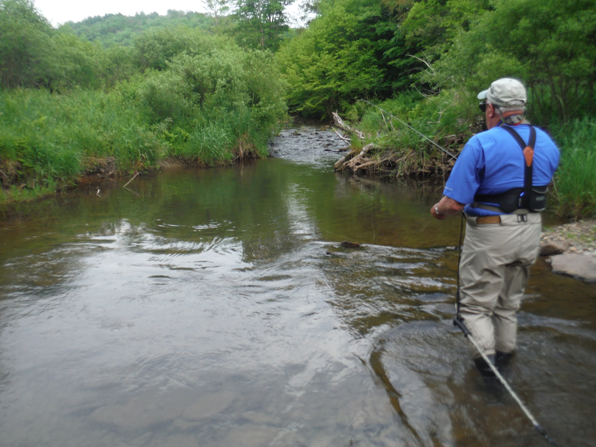 Mikey D Fishing Potter County Fishing Report First Fork of the