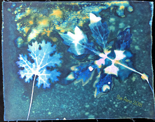 Wet cyanotype_Sue Reno_Image 338