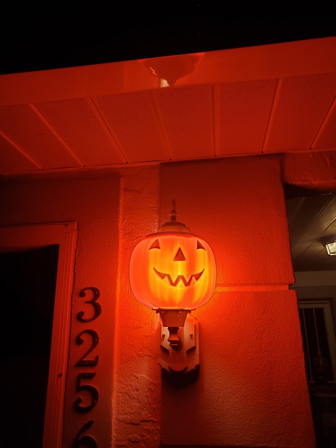 Pumpkin Porch Light Covers
