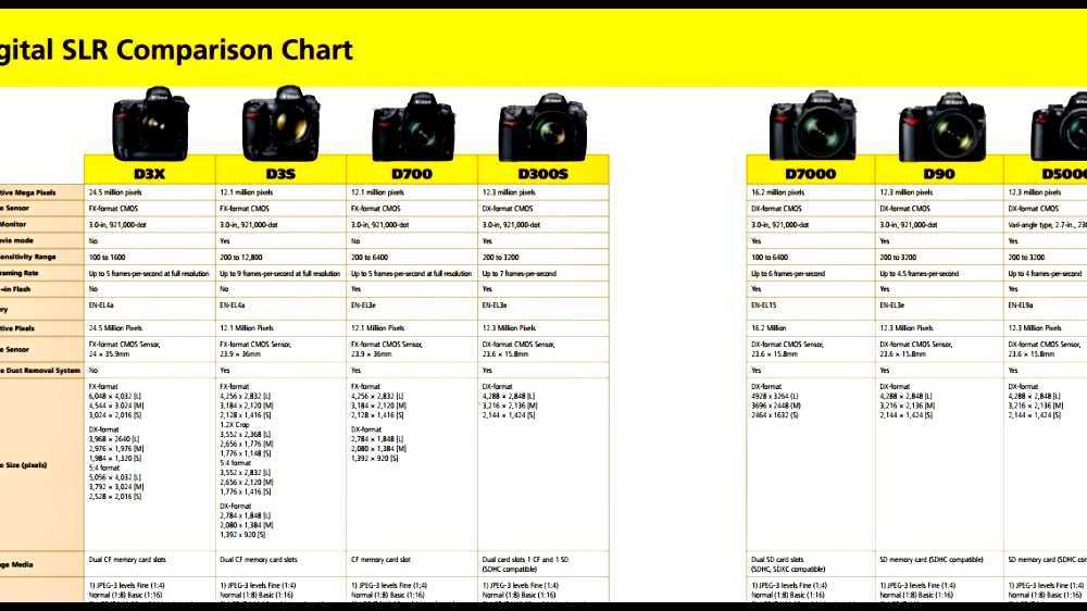 Comparison Of Nikon Dslr Cameras | Hot Sex Picture