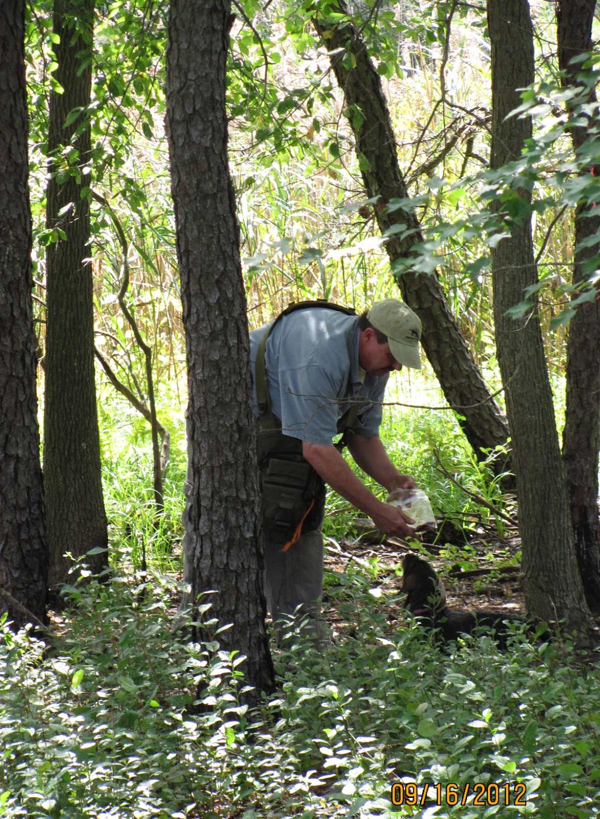 BORNTOTRACK BLOG Blood tracking dogs and their handlers at the NJ