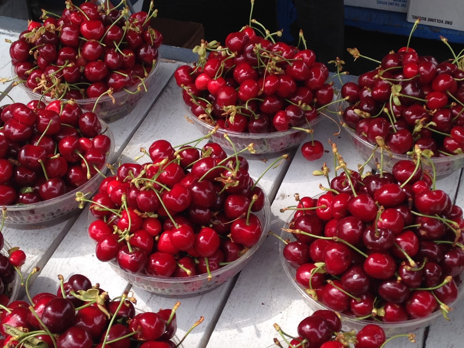WSDA AgBriefs When cherry season looms, WSDA and industry go into prep