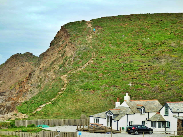 North Cornwall cliffs