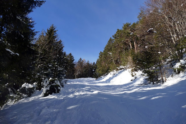 monte cornetto di folgaria ciaspole