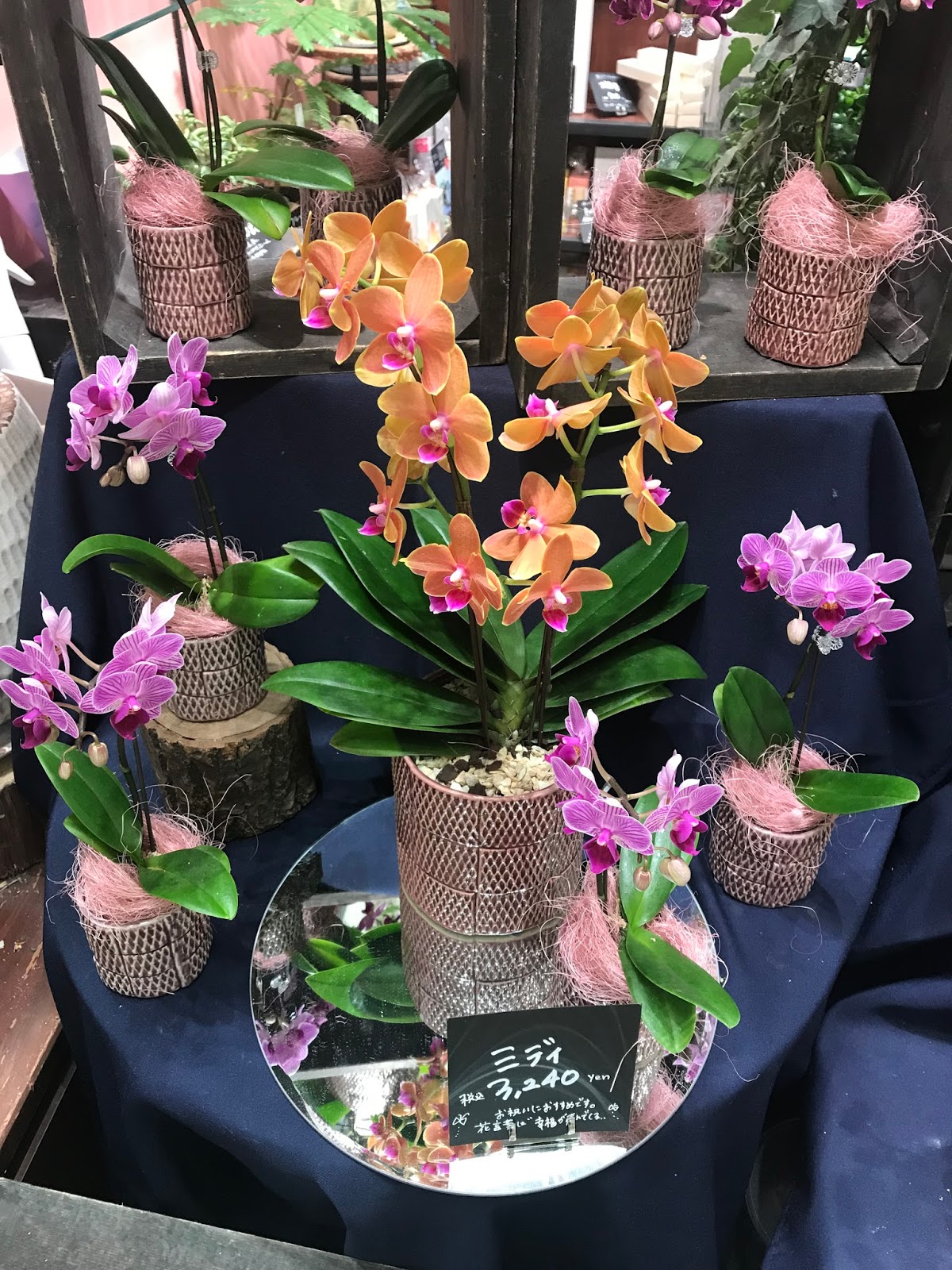 一日一言 名言 敵は自分 自分 ですよ 敵はどんなときも 妥協 という敵が 日々ね あらゆる時間に 人間って襲いかかってくるんで 本当に強敵 本田圭佑