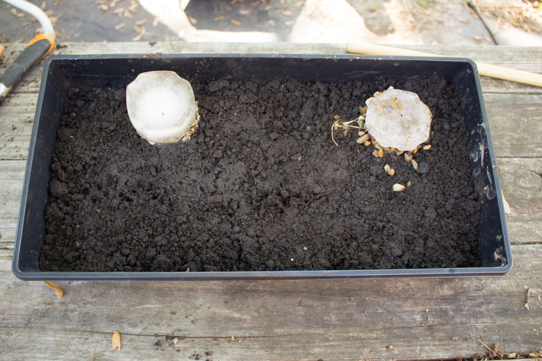 Craft Knife Homeschool Geography Make a Glacier Model