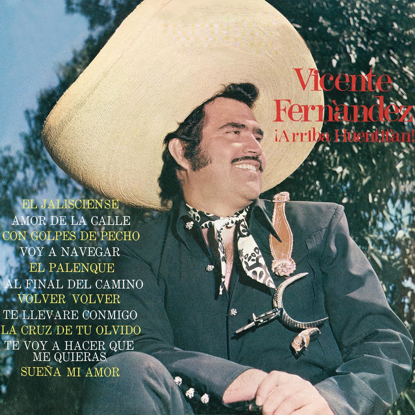 Mis discografias Discografia Vicente Fernandez