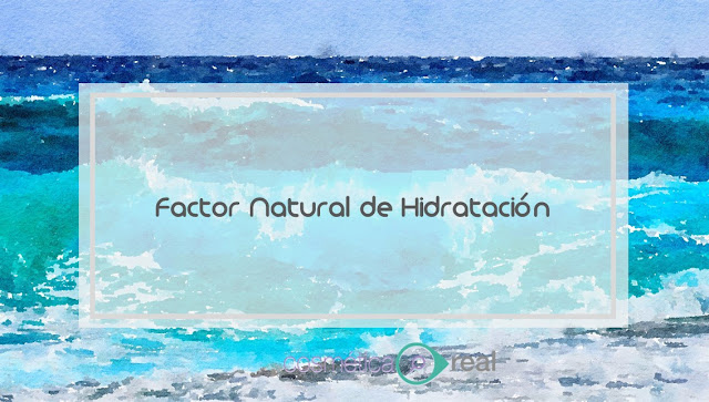 Factor Natural de Hidratacion