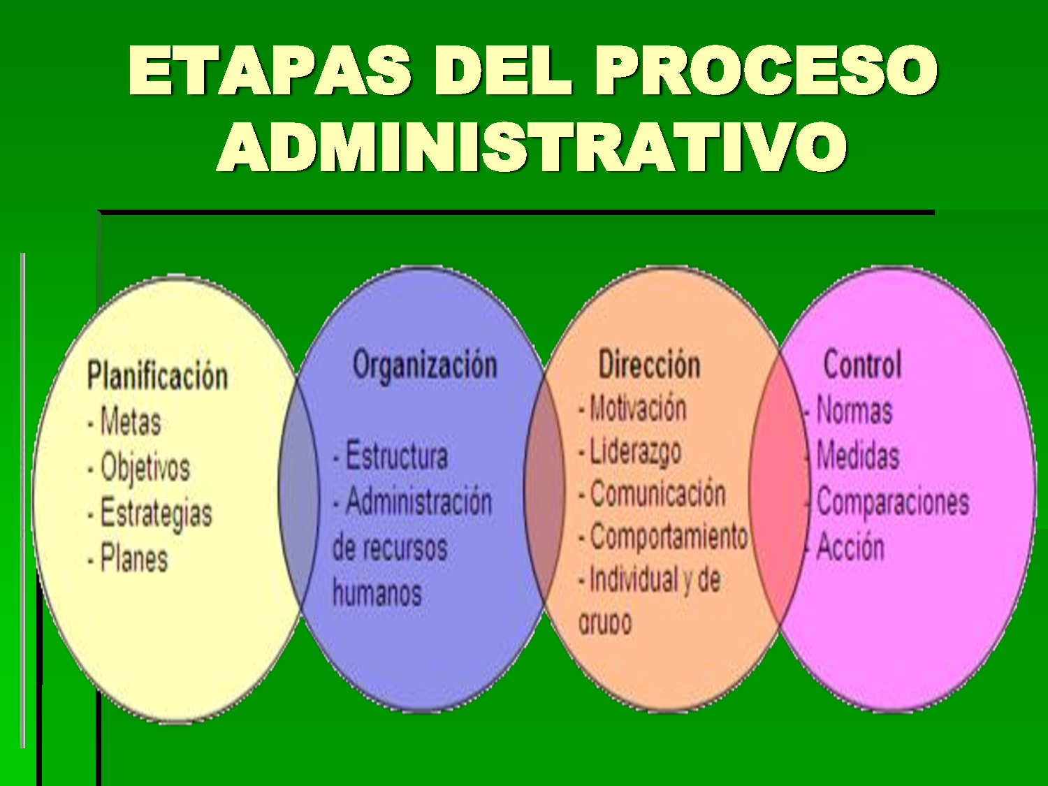La administracion en el nuevo modelo social: Los procesos administrativos